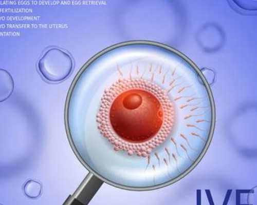 7年不孕不育，经历胎停后分享下自己的移植方案