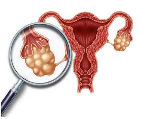 感冒发烧吃什么水果好