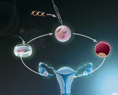 成都代孕机构牟取暴力,成都第七人民医院和省医院_，成都试管机构2023
成都正