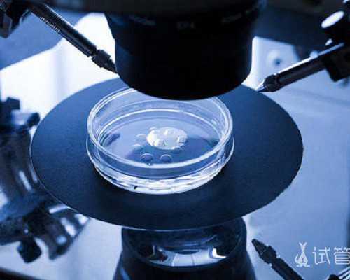成都做代孕的医院,成都华西目前有三代试管吗？三代试管满足你的完美生_上海