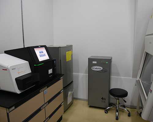 为什么泰国试管婴儿囊胚移植备受不孕不育患者青睐?