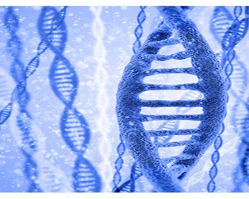 成都代孕生是什么意思,成都做试管排名,成都最好的做试管