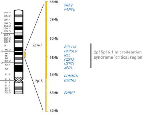 成都代孕怎么判断是否怀孕,成都地下供卵试管（成都哪里可以供卵）
