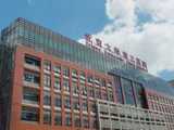 男备孕吃什么食用油好
