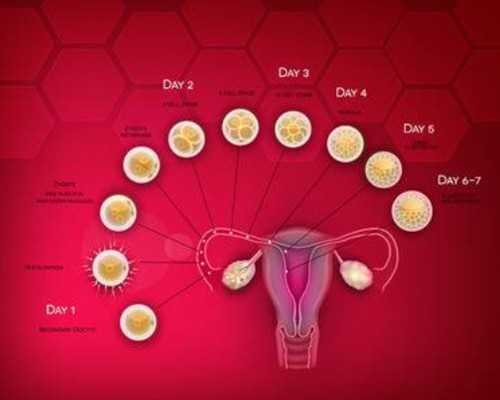 成都代怀孕口碑,成都试管供卵包男孩包成功（天津试管婴儿捐卵供卵）