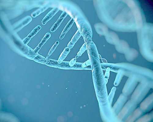 成都三代试管婴儿,2024天津妇产医院三代试管婴儿价格，附试管助孕费用明细