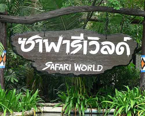 成都代怀网合法吗,成都做试管婴儿是怎样的流程？