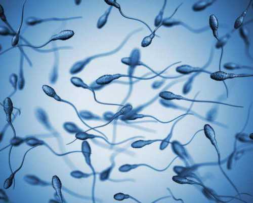 备孕适量吃胡萝卜好吗