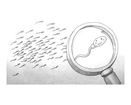 成都代怀女孩公司,三代试管大概多少钱在北京_成都试管婴儿花费明细需要多少