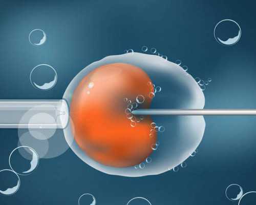 早孕期可以吃韭菜包子吗