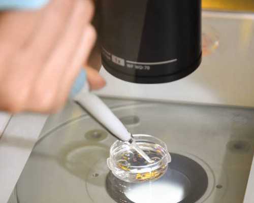 成都试管代孕一般几次成功,成都地下供卵试管（成都哪里可以供卵）