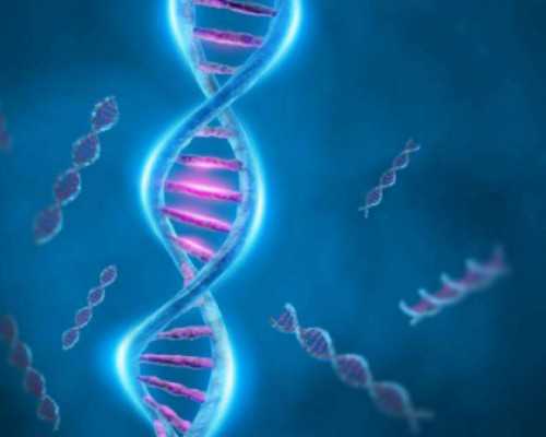 成都代孕无忧包成功,西囡医院试管婴儿价格贵不贵？附成都西囡试管情况_输卵