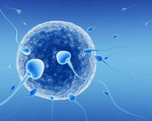 宝妈孕前健康饮食