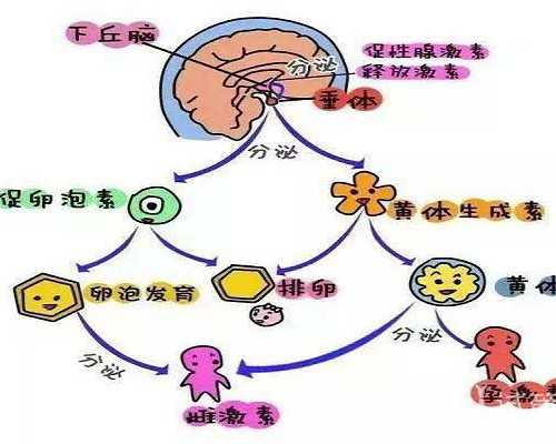 成都大学生代孕,广东做试管婴儿医院排名前五的有哪些？_沧州供卵机构_成都西