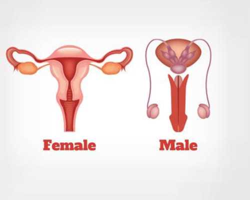 成都同志代怀,成都市妇幼保健院做试管成功率是多少？一次试管能够成功吗？