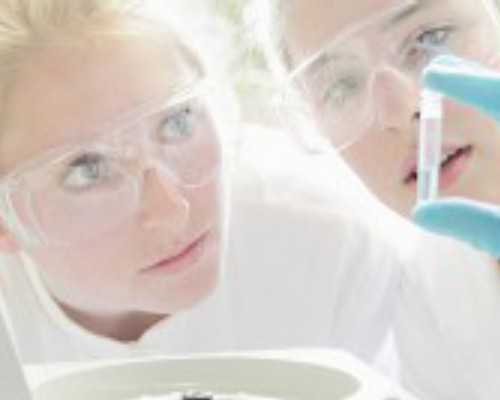 孕前饮食关键：维持体重、调整饮食习惯与预防营养缺乏的重要策略