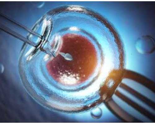 成都谁愿意做代孕妹子,成都地下供卵试管（成都哪里可以供卵）