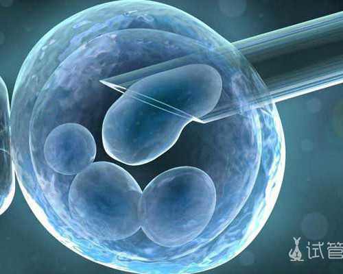 成都代怀网的流程,成都华西医院做试管婴儿怎么预约挂号？-上海供卵试管公司