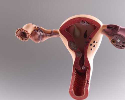 产妇产后吃鸡炖什么最好