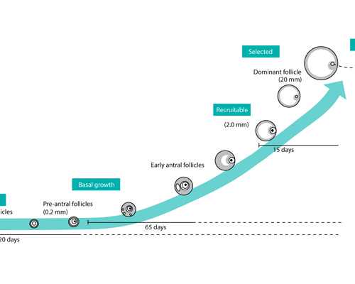 看不孕不育口碑好医院 南方医院