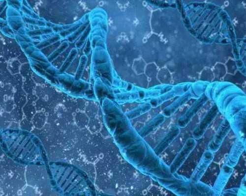 试管婴儿成功率分享：泰国试管婴儿技术助力生育梦想