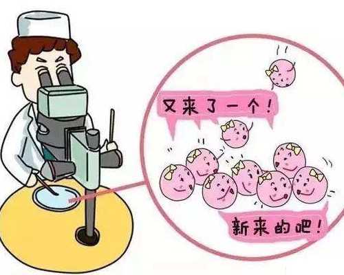 成都代孕医院的故事,成都试管婴儿技术,成都试管婴儿医院