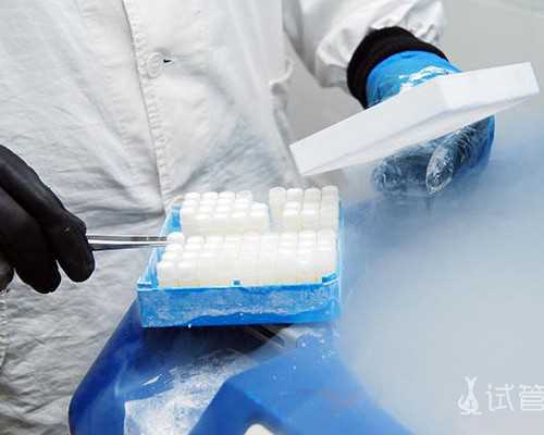 培养幼儿双语阅读的秘诀：1-3岁幼儿双语绘本指南