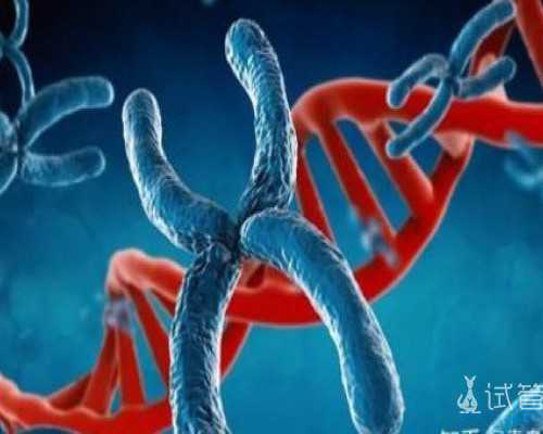 孕期准妈要如何护牙?