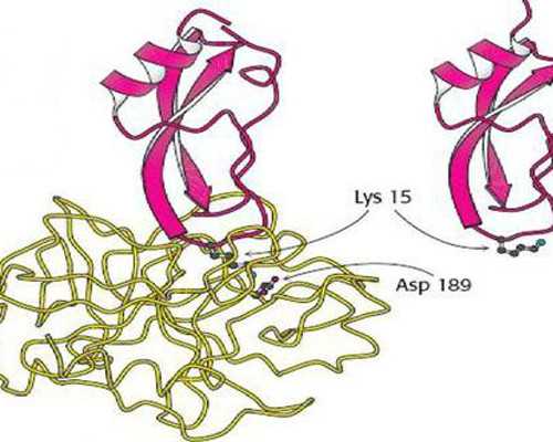 成都高鹰试管代孕,试管三次成功_成都试管婴儿医院丨成都助孕机构丨成都三代