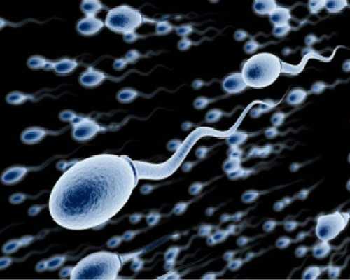 成都代生哪里优惠,成都三代试管婴儿技术可以解决生育难吗？