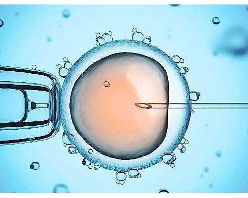 2015年生男生女清宫图正确打开方式