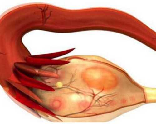 成都供卵的成功率,成都西囡医院供卵（北京家圆医院供卵费用）-3个多月B超检