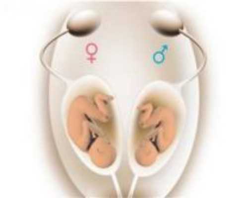 成都代孕贴吧,成都试管三代多少钱啊医保_成都试管婴儿医院丨成都助孕机构丨