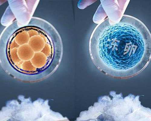 成都托福培训机构哪家好？看这几点就知道啦,成都三代试管怀孕生子助孕机构