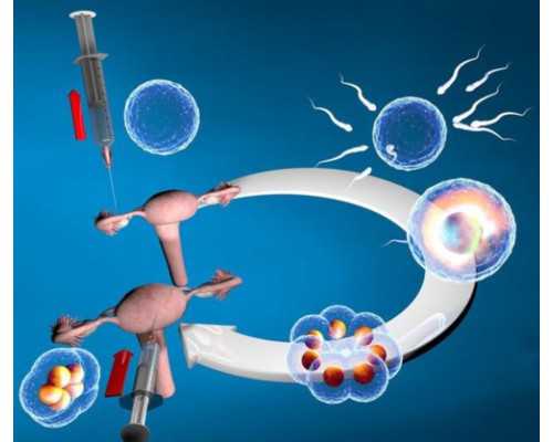 成都代孕网站,成都华西附二院哪位医生做试管婴儿最好_西安供卵试管咨询电话