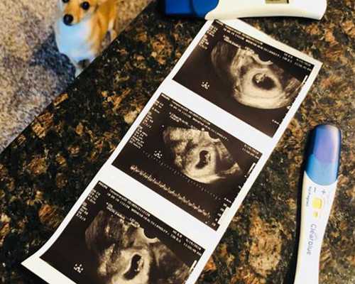 成都去找代孕靠谱机构,试管宝宝不跟正常宝宝一样吗？为什么怀孕后，还要用