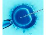 成都三代试管生男孩,试管婴儿促排卵一般几次成功？-上海供卵试管中心地址