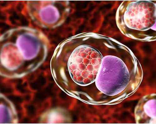 成都三甲供卵医院,做试管婴儿哪个医院成功率最高北京_成都试管婴儿机构哪家