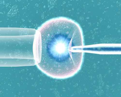 成都助孕公司真假辨别,成都中学生托福培训机构哪家好？家长们如何给孩子选