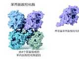 成都试管代生医生,北京海外试管机构有哪些医院_2026年成都最权威的试管医院排