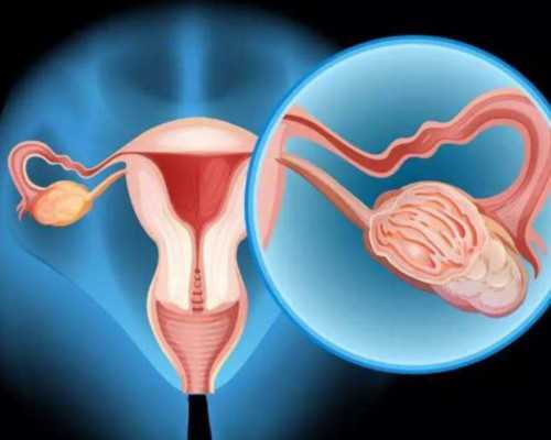 成都代孕公司招聘信息,成都试管三代多少钱啊医保_成都试管婴儿医院丨成都助