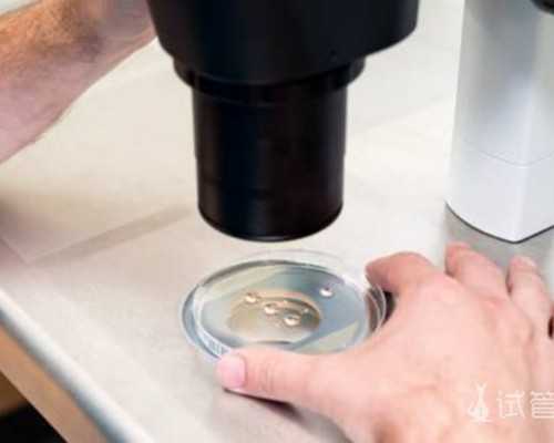 成都代孕能领生育险吗,成都试管婴儿,成都三代试管婴儿医院