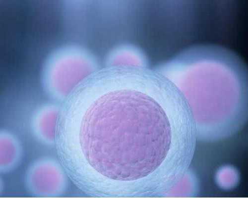 为您的宝宝选择最佳0-1岁婴儿零食品牌指南