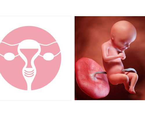 孕期每个月检查哪些项目