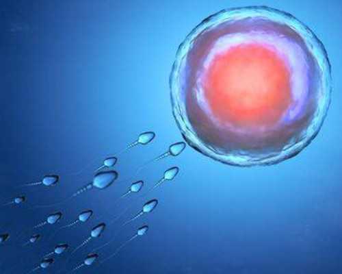 成都关于代孕医院哪家,成都做试管排名,成都最好的做试管