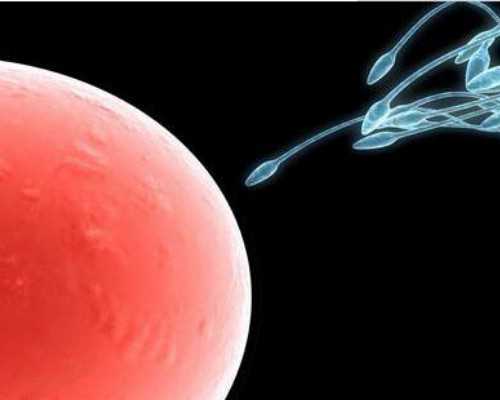 成都助孕供卵代生,试管婴儿怎么做的过程中容易碰到哪些问题?-试管移植后焦虑