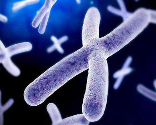 成都代孕医院供卵,广东试管婴儿医院/费用/成功率介绍-降调为什么要打14天针