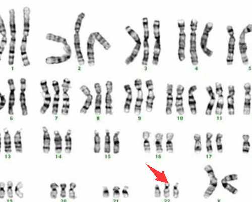 成都试管代生包性别,成都华西附二院试管婴儿收费是怎么算的-长方案好还是超