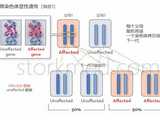 成都代孕公司,成都试管婴儿正规医院排名：高端专业医院的具体特征