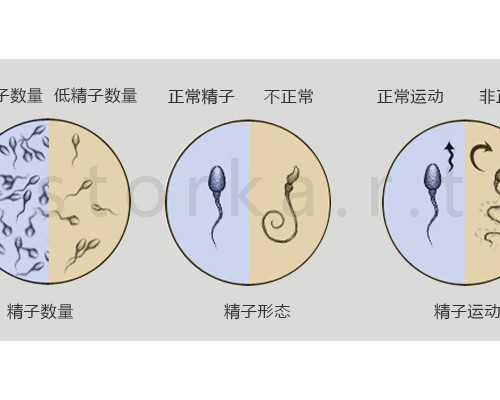 成都代怀子机构,海外做第三代试管婴儿有什么流程步骤海外第三代试管婴儿的